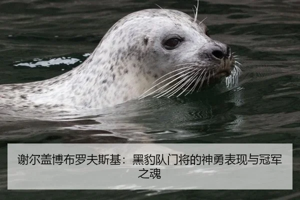 谢尔盖博布罗夫斯基：黑豹队门将的神勇表现与冠军之魂