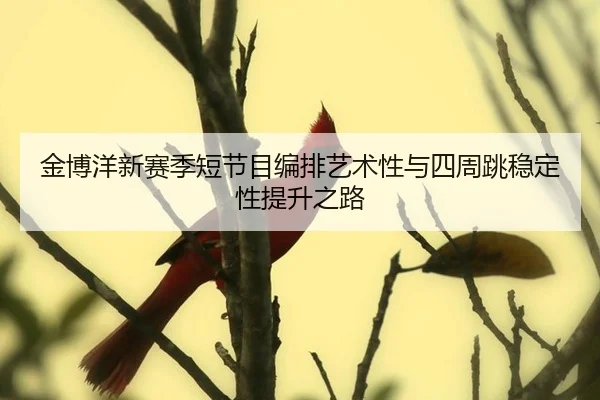 jin-bo-yang-xin-sai-ji-duan-jie-mu-bian-pai-yi-shu-xing-yu-si-zhou-tiao-wen-ding-xing-ti-sheng-zhi-lu-3-841.jpg