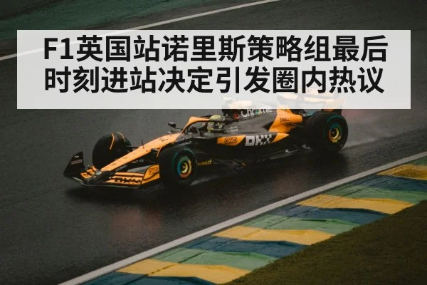 F1英国站诺里斯策略组最后时刻进站决定引发圈内热议 - 6686.com